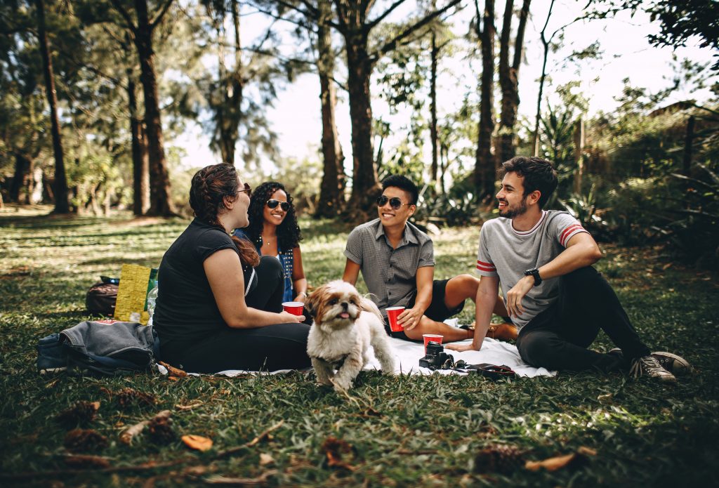 people making friends while in a picnic